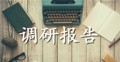城管局三严三实调研报告范文2023