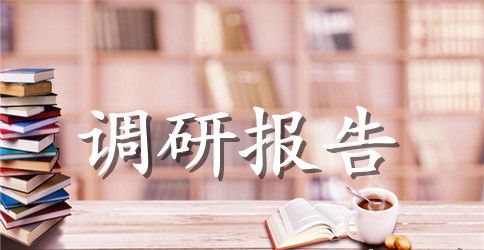 山区青年自组织调研报告