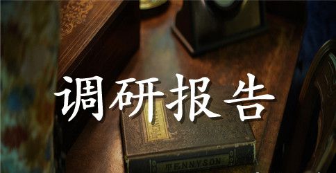 服装市场调研报告范文4篇