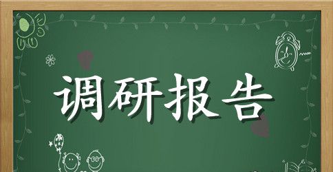 2023年系统调研报告4篇
