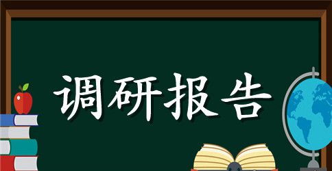 队伍稳定调研报告