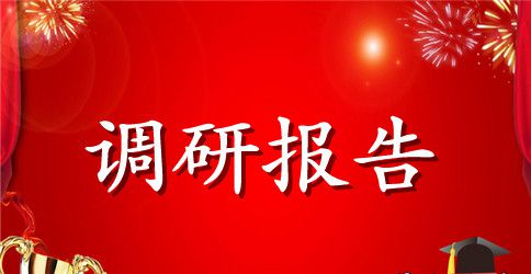 乡开展精准扶贫工作调研报告2篇汇总