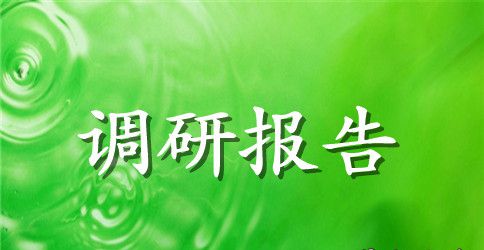 关于农村劳动力调研报告