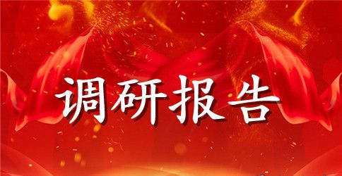 服装市场调研报告4篇