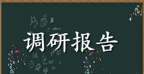 城市环境卫生调研报告范文