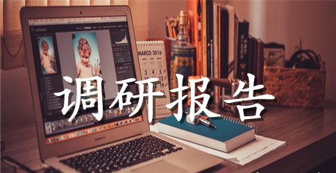 食品市场调研报告2篇