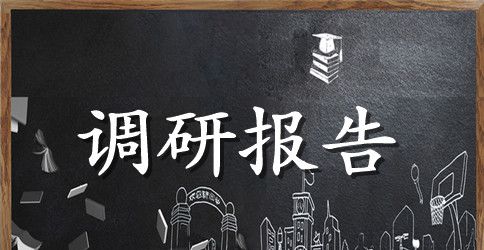基层组织调研报告范文4篇