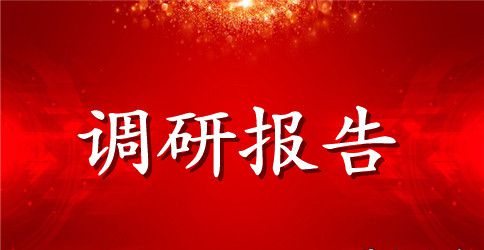 不良贷款调研报告