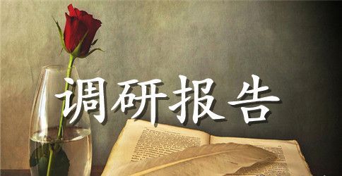 对管理路边停车问题科学规划的调研对策调研报告