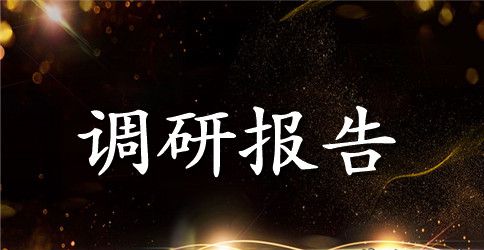 计划生育工作调研报告范文