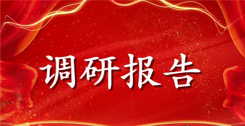 某村发展特色经济调研报告模板