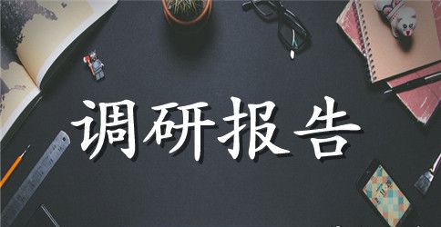 经营城市调研报告