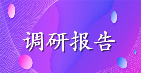 农村调研报告推荐