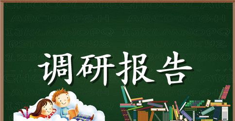农村经济调研报告