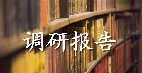 关于酒店市场调研报告