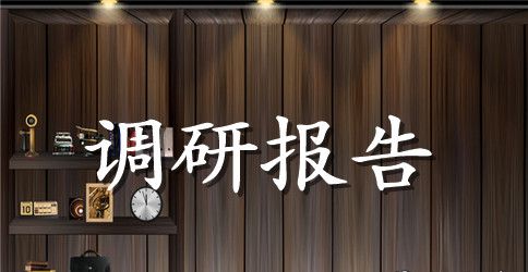 建设调研报告