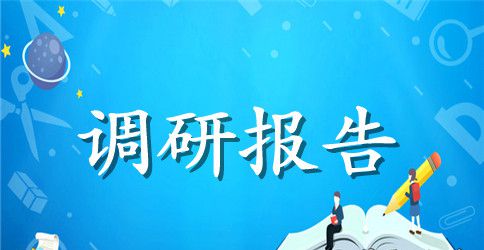 大学生对农村养老问题的调研报告