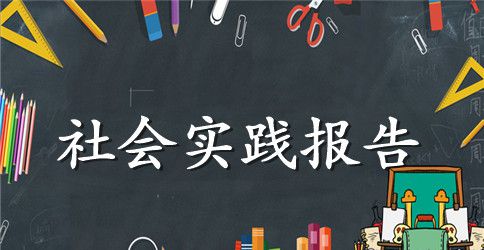 2023年大学生暑假社会实践报告