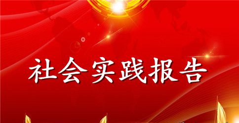 3000字社会实践报告【三篇】