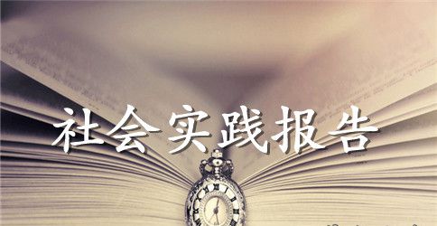 社会实践报告【三篇】