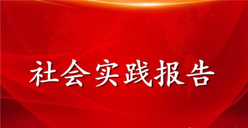 寒假社会实践报告800字五篇