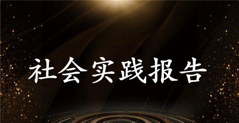 高中生社会实践报告