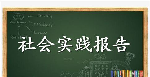 社会实践报告记录范文