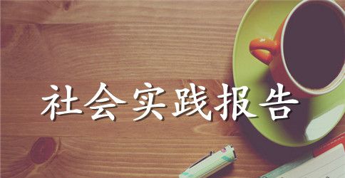 敬老院暑假社会实践