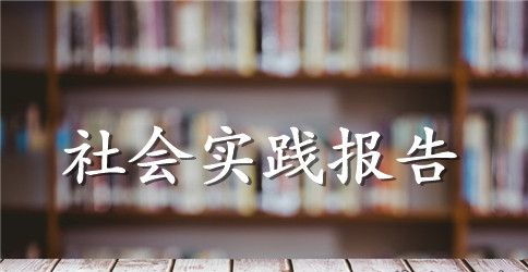 毛概社会实践调查报告：公众对环境满意度