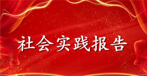 2023年实践报告1500字