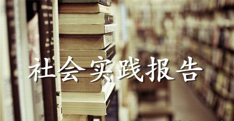 小学生社会实践报告范文