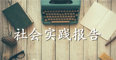 2023年社会实践报告活动报告范文