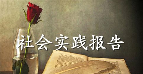 2023大学法学专业暑期社会实践报告范文