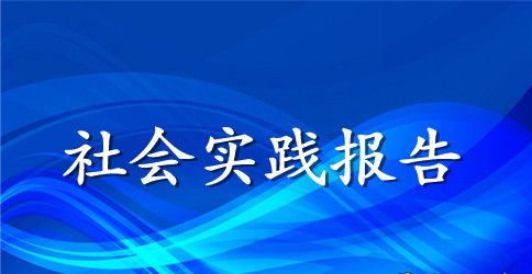 假期实践报告范文3000字