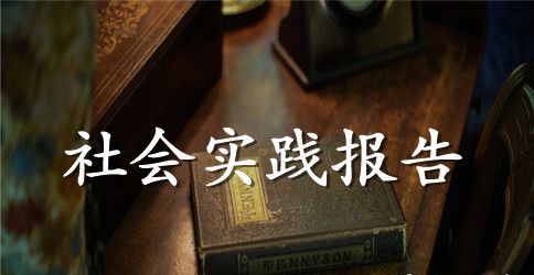 会计专业社会实践报告4篇