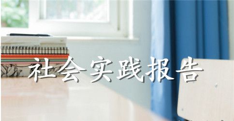 2023年会计专业大学生暑期社会实践报告