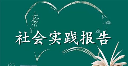 2023三下乡社会实践报告4篇