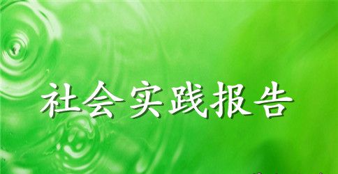 寒假个人社会实践报告2篇
