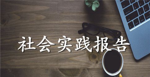 我三下乡的感想稿社会实践报告范文