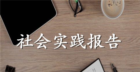 2023年三下乡暑期社会实践范文