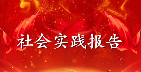 会计专业毕业生假期实践报告范文