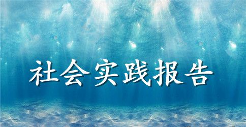 2023年会计实习三个月社会报告