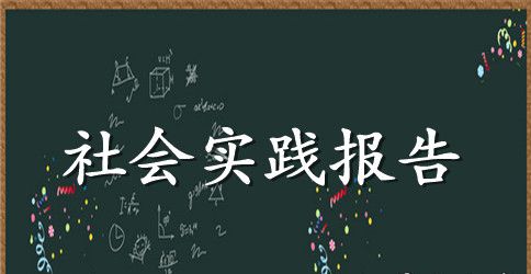 2023年7月通用大学生社会实践报告范文8