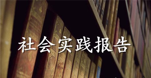 暑假大学生三下乡社会实践报告总结
