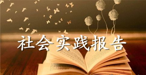 2023年7月大学生社会实践报告范文7