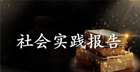 2023年12月大学生社会实践活动总结范文