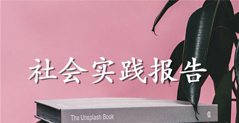 2023年大学生会计专业暑期社会实践报告3000字