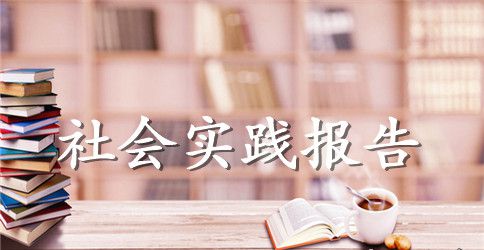 2023年8月大学生社会实践报告格式