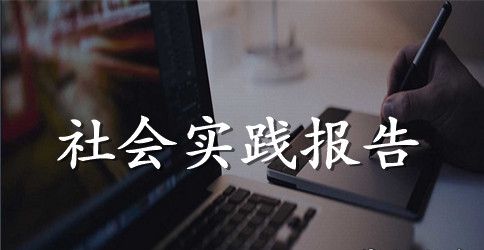 2023年8月大学生三下乡社会实践报告范文