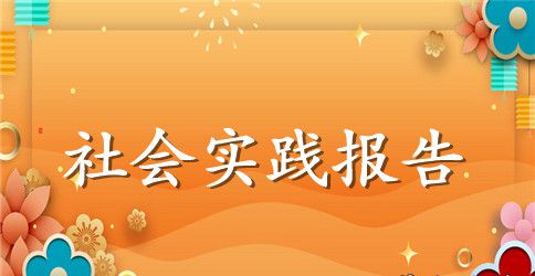 2023精选大学生暑期三下乡社会实践报告